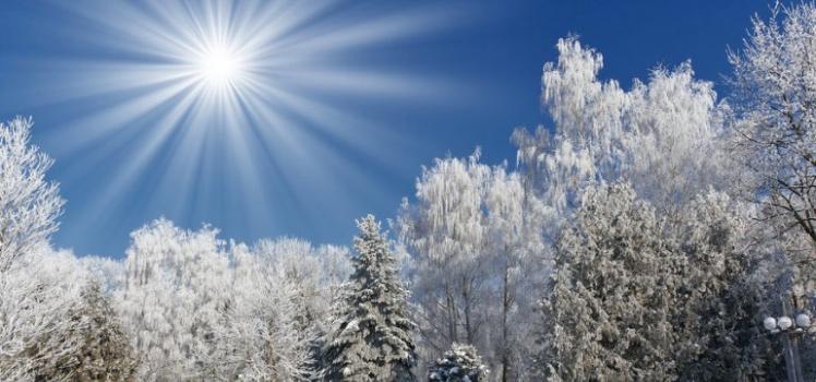 Как всички можем да преживеем зимното слънцестоене и пълнолунието?