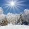 Как всички можем да преживеем зимното слънцестоене и пълнолунието?